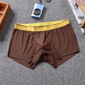Men's Underwear