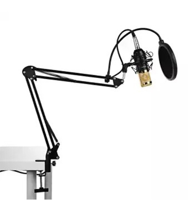 BM800 Condenser Microphone Kit Studio Dynamic System Mount Boom Stand Sound Card