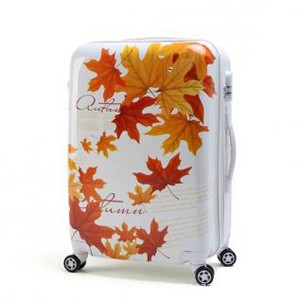 Universal Wheel Luggage