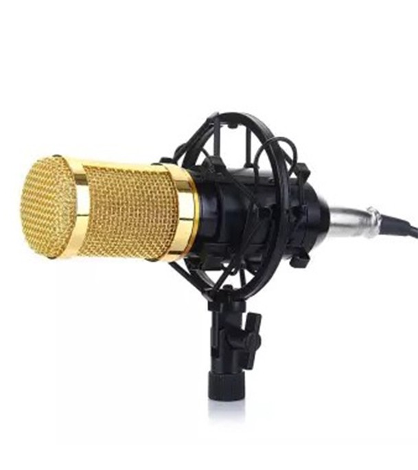 BM-800 Network K-Song Dedicated High-end Metal Shock Mount