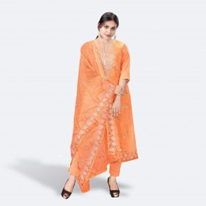 Embroidery Salwar Kameez