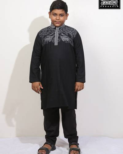 Boys Fashionable Panjabi